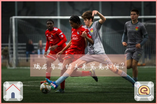 璃龙与您的关系究竟如何？