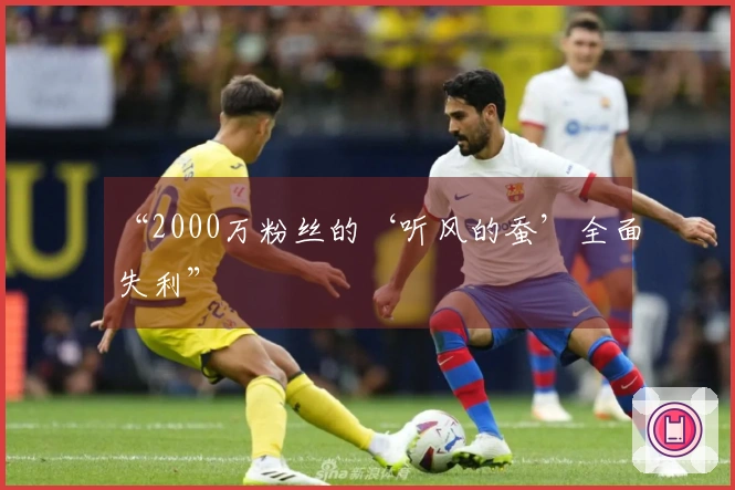 “2000万粉丝的‘听风的蚕’全面失利”
